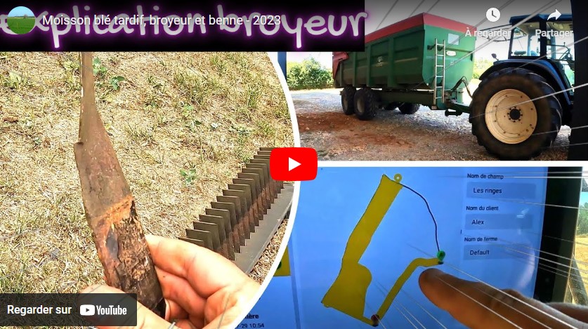 Moisson du blé tardif, broyeur et benne