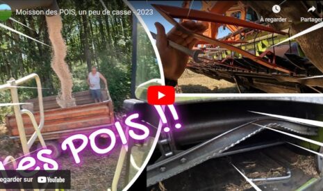 Moisson des pois et un peu de casse