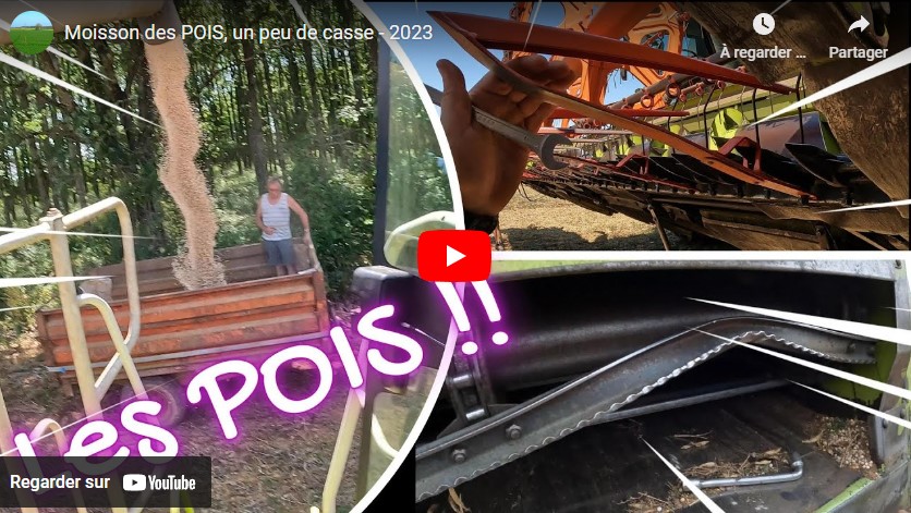 Moisson des pois et un peu de casse