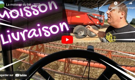 Moisson et livraison du blé