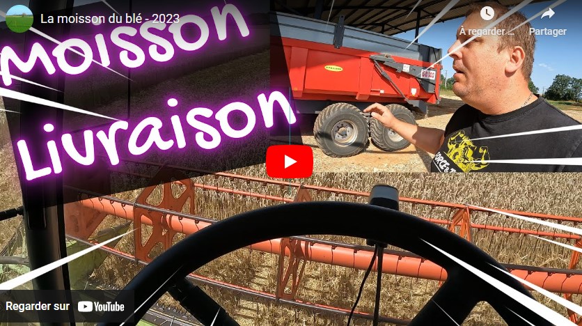 Moisson et livraison du blé