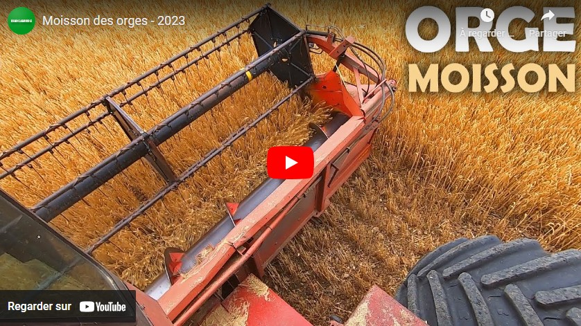 Moisson des orges