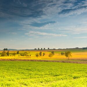 Restaurer la nature en Europe