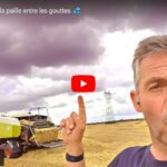 Ramassage de la paille entre les gouttes