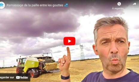 Ramassage de la paille entre les gouttes