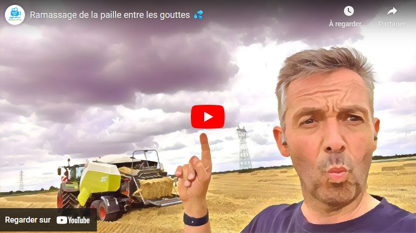 Ramassage de la paille entre les gouttes