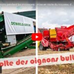 Récolte des oignons pendant les moissons : mise en route du nouveau déterreur