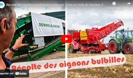 Récolte des oignons pendant les moissons : mise en route du nouveau déterreur