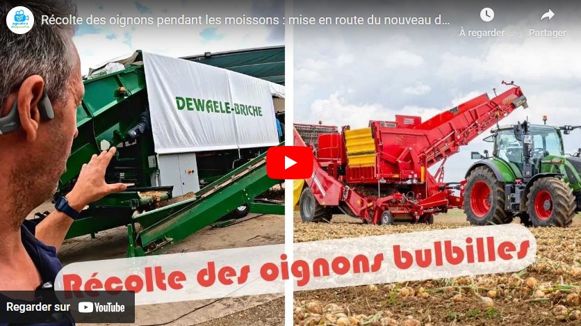 Récolte des oignons pendant les moissons : mise en route du nouveau déterreur