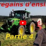 Les regains d'ensilage