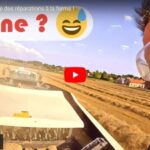 Une journée à la ferme