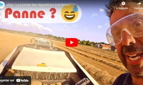 Une journée à la ferme
