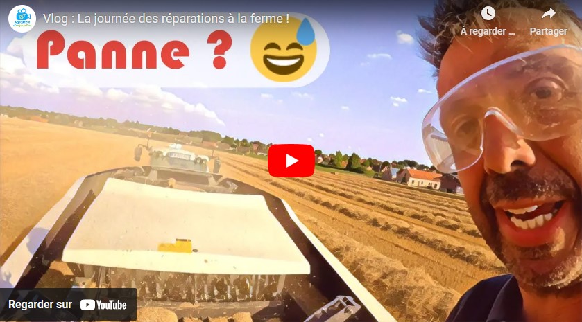 Une journée à la ferme