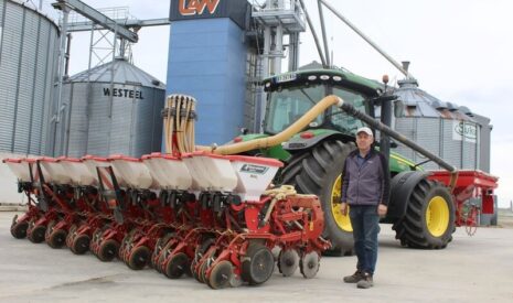 Semis de légumes : des prestations de la carotte au flageolet