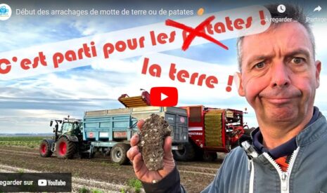 Lancement de l&rsquo;arrachage des pommes de terre