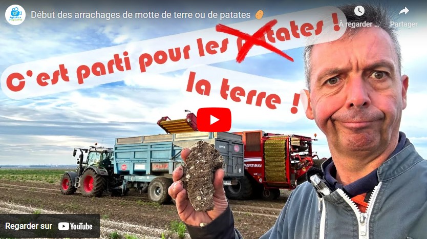 Lancement de l&rsquo;arrachage des pommes de terre