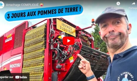 Arrachage des pommes de terre difficile