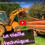 Création de semences de blé, d'orge et de pois