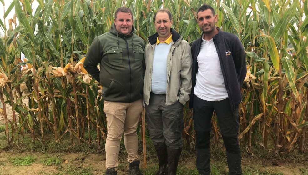 Maïs : 7 qtx supplémentaires avec la modulation de semis