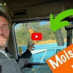 Moisson du maïs