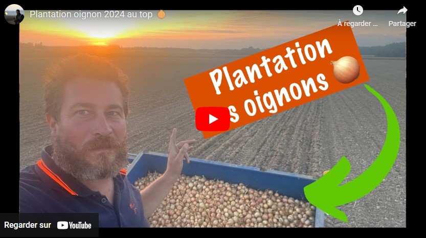 Démarrage de la plantation des oignons pour 2024 !