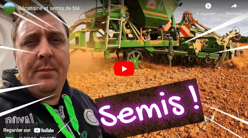 Semis de blé