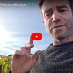 Petits travaux d'automne 2023