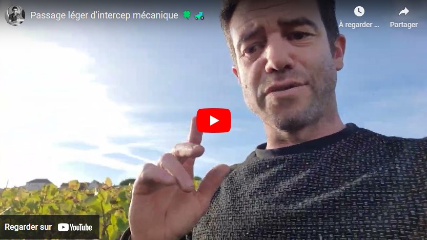 Petits travaux d&rsquo;automne 2023