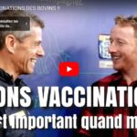 Sommet de l'élevage : zoom sur la vaccination