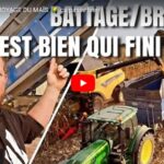 Battage de maïs