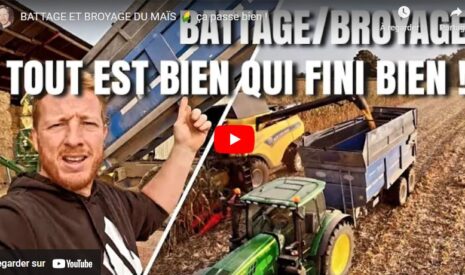 Battage de maïs