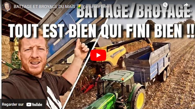 Battage de maïs