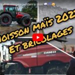 Moisson du maïs et bricolage à la ferme