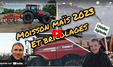 Moisson du maïs et bricolage à la ferme