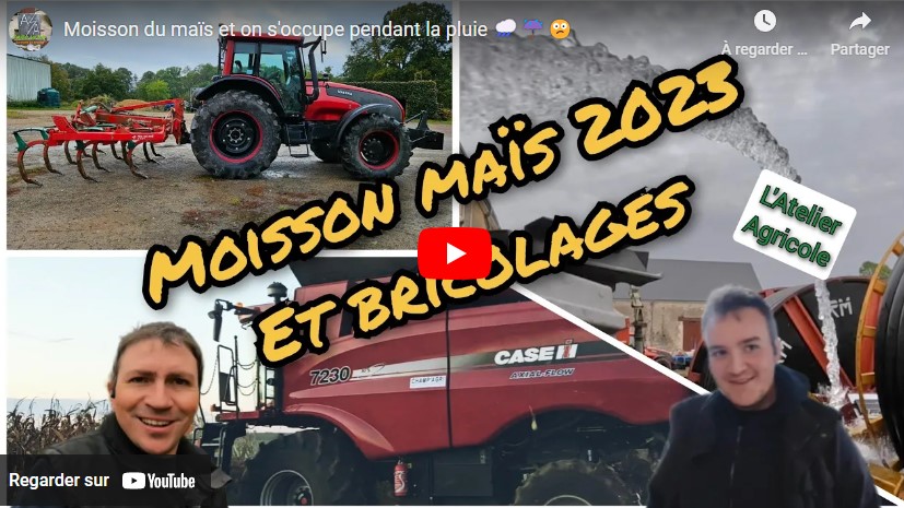 Moisson du maïs et bricolage à la ferme