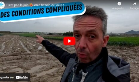 Tour des parcelles : vous montrer les cultures