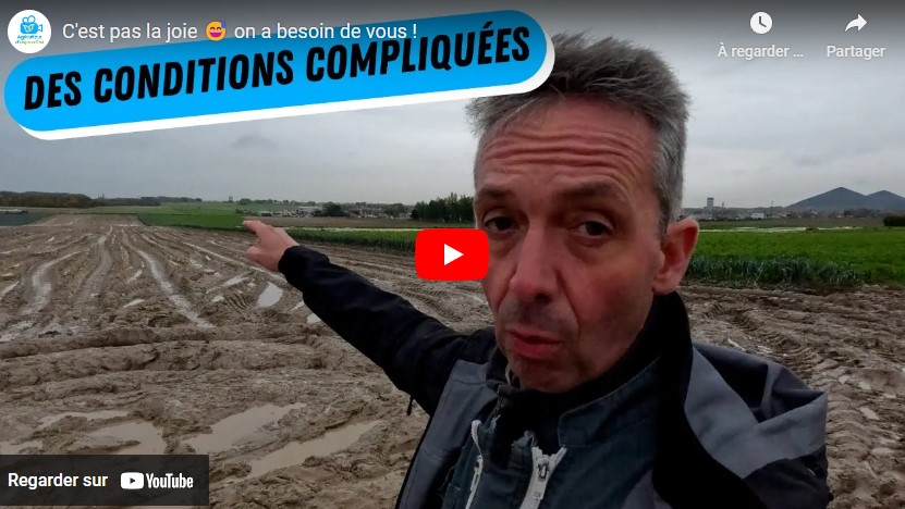 Tour des parcelles : vous montrer les cultures