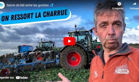 Semis de blé entre les gouttes
