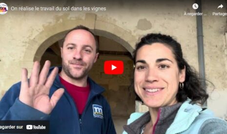 Les travaux sur le domaine avancent !