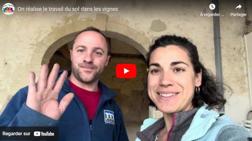 Les travaux sur le domaine avancent !