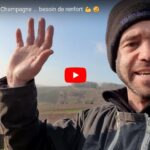 Des nouvelles depuis les vignes
