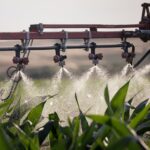 YARA® lance sa nouvelle gamme de biostimulants YaraAmplix