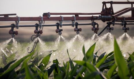 YARA® lance sa nouvelle gamme de biostimulants YaraAmplix