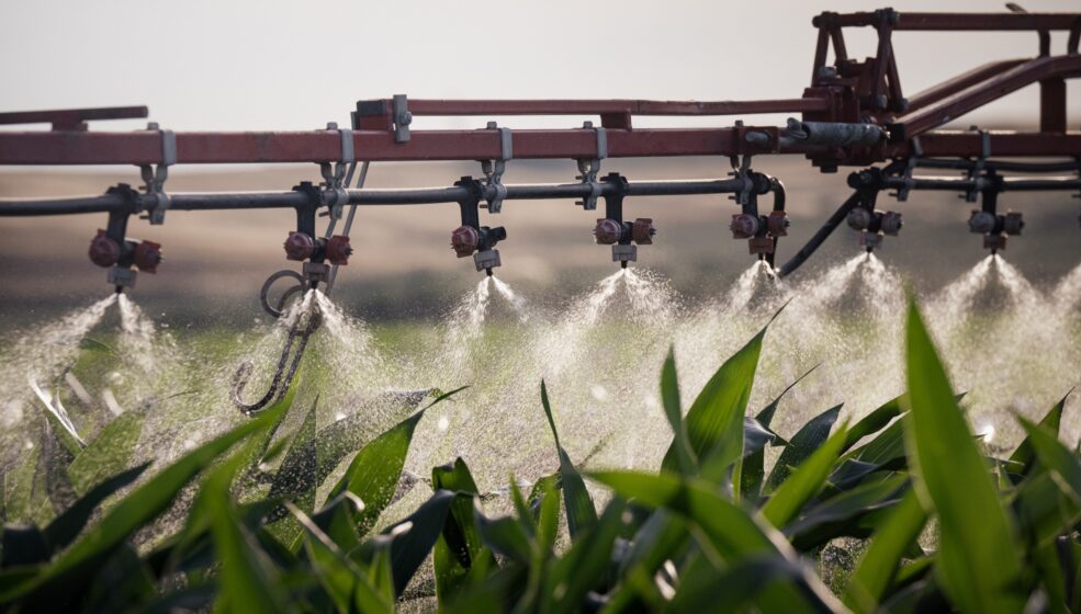 YARA® lance sa nouvelle gamme de biostimulants YaraAmplix