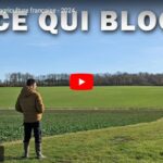 Ce qui bloque l'agriculture française
