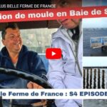 Cofarming tour – Les plus belles fermes de France 10 – Mytilus 