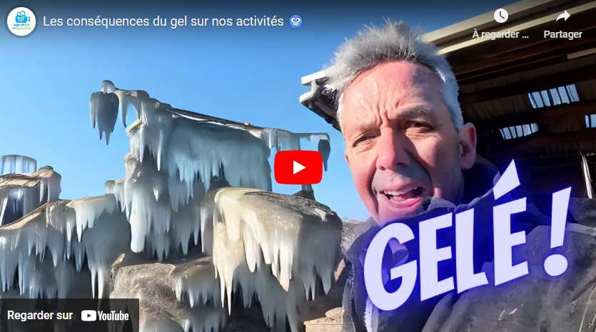 Les conséquences du gel sur nos activités
