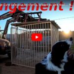 Nouveauté à la ferme !