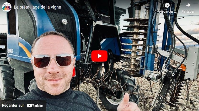 Prétaillage des vignes