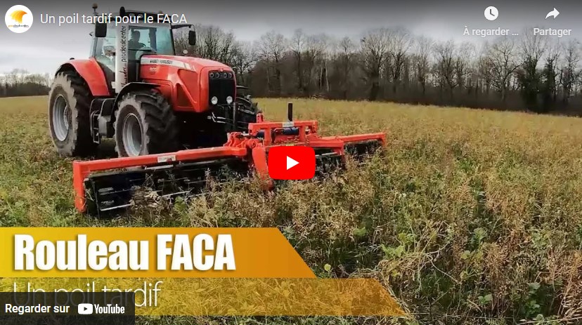 Passer le rouleau Faca